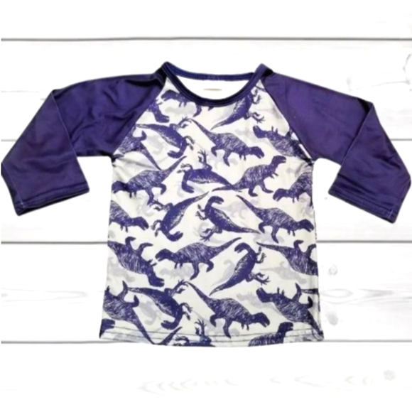 5/25 Boutique Gray Blue long Sleeve Dinosaur Shirt NEW - Picture 1 of 1
